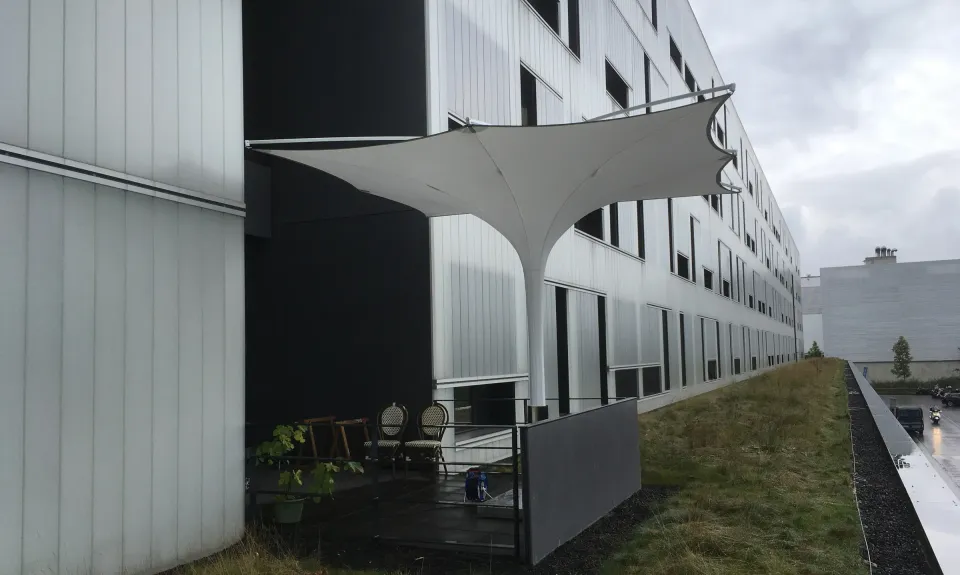 Weißer Tulip über einer Terrasse vor einer hellen Gebäudefassade